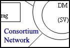 Consortium_Network